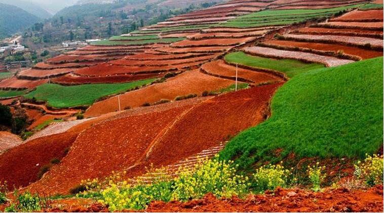 中國土壤幾病癥，該如何管理土壤？