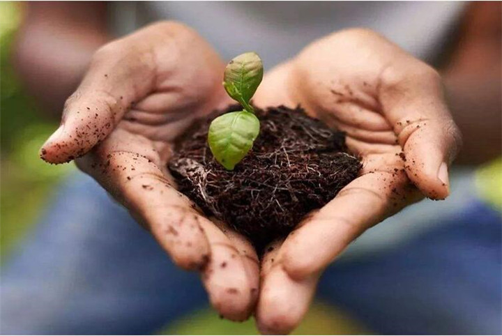 腐植酸修復土壤真那么神奇嗎？