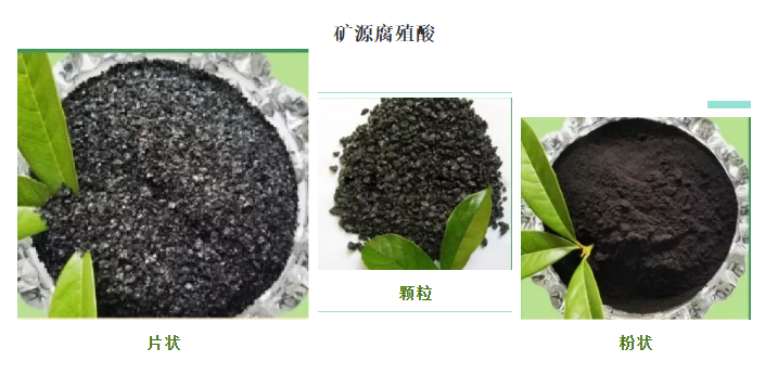 看過來！帶你了解司普沃赫蔓核心成分-礦源腐殖酸