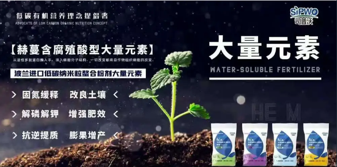 如何選擇葉面肥？葉面肥的施用形式你了解嗎？