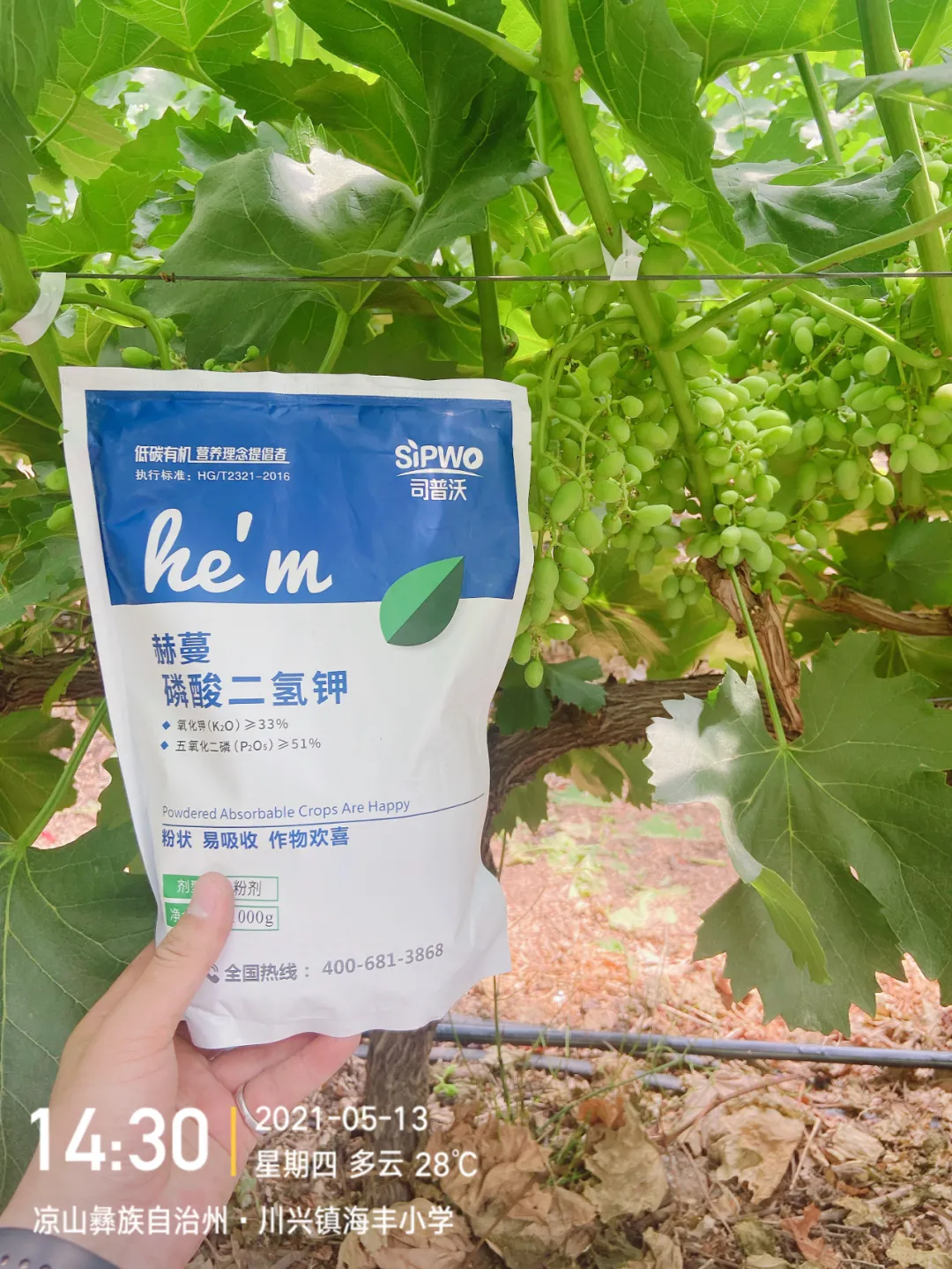 磷酸二氫鉀的辨別真假現(xiàn)場，99%以上是假貨！