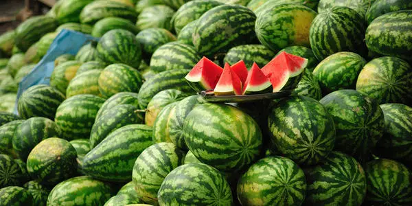 西瓜裂果怎么辦？除了水的管理還要補充這個!