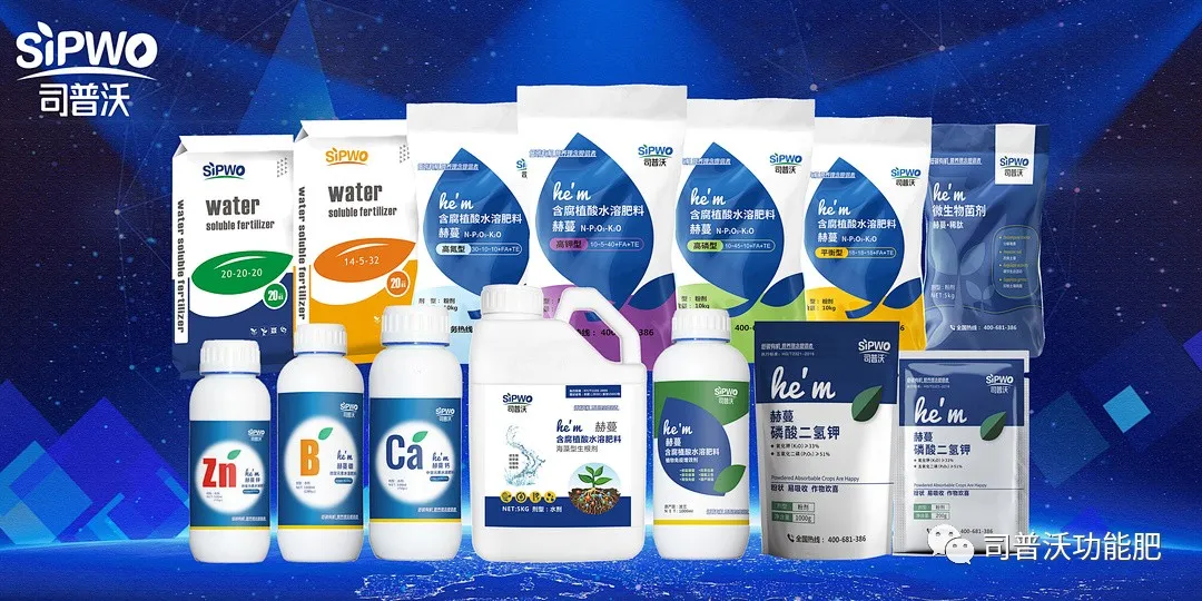 柑橘出現(xiàn)太陽果怎么辦！如何全面防灼防裂？