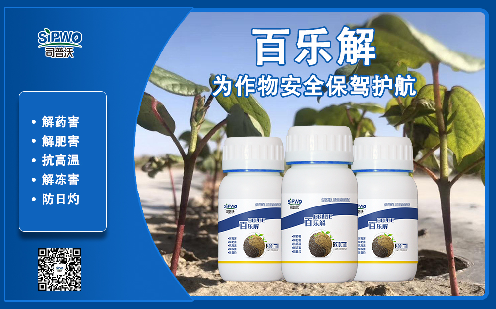 司普沃赫蔓百樂解，解凍害、解肥害、解藥害，棉花上再顯神威！