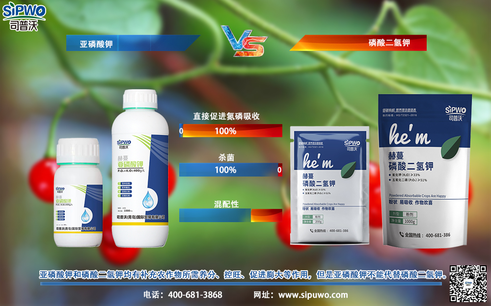 既能當(dāng)農(nóng)藥，又能當(dāng)肥料，亞磷酸鉀真的有這么神奇嗎？