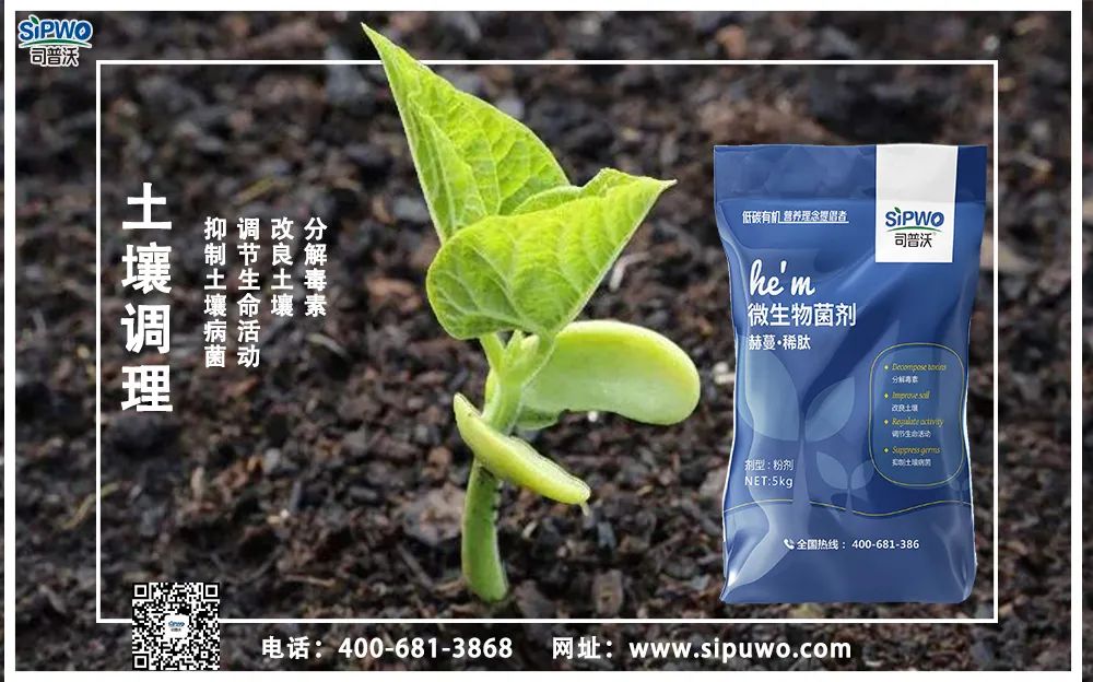 【農(nóng)技知識】土壤出問題了，肥料用再多也別想增產(chǎn)！