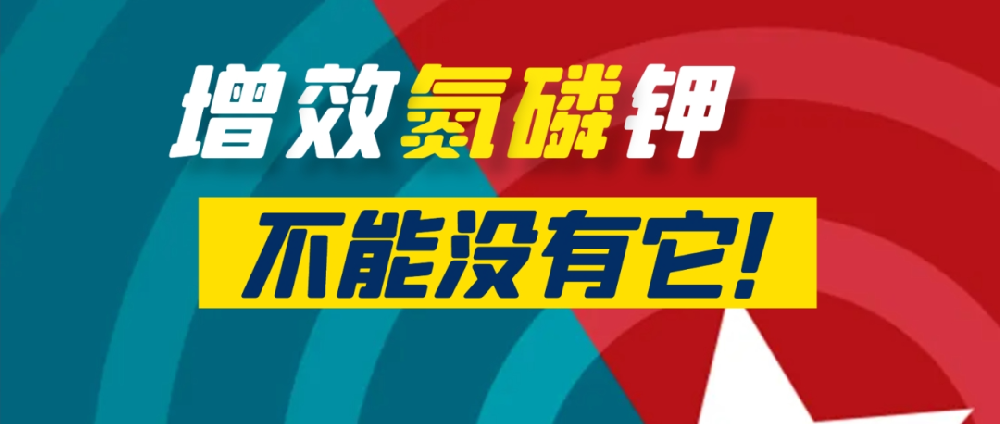 要想作物長得好，中量元素少不了！
