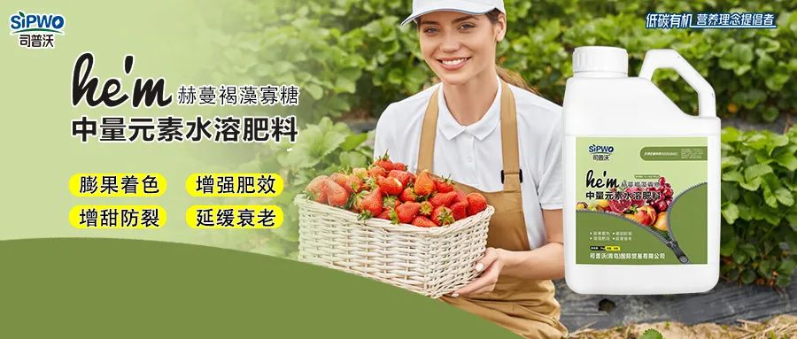 褐藻寡糖--中量元素水溶肥|膨果著色、增強(qiáng)肥效、增甜防裂、延緩衰老