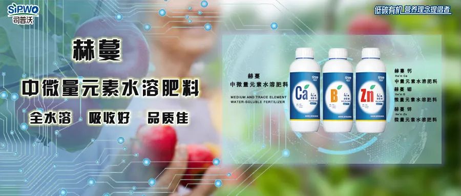 中微量元素鈣、硼、鋅|移動(dòng)快、吸收好、營(yíng)養(yǎng)全、品質(zhì)佳