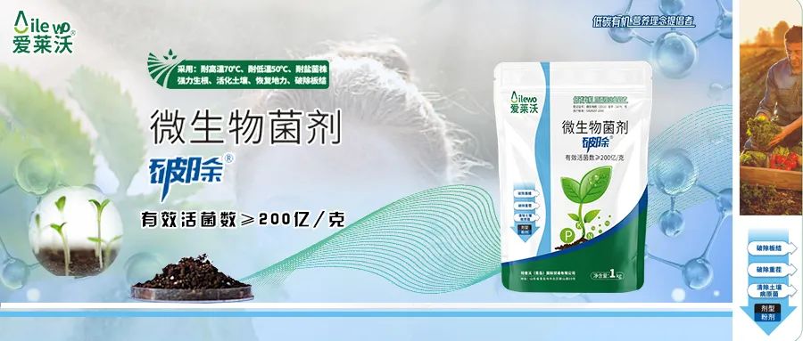 愛萊沃·微生物菌劑_破除|沃土、生根、抗病一步到位