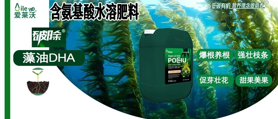 愛萊沃·破除藻油DHA|爆根養(yǎng)根、強(qiáng)壯枝條、促芽壯花、甜果美果