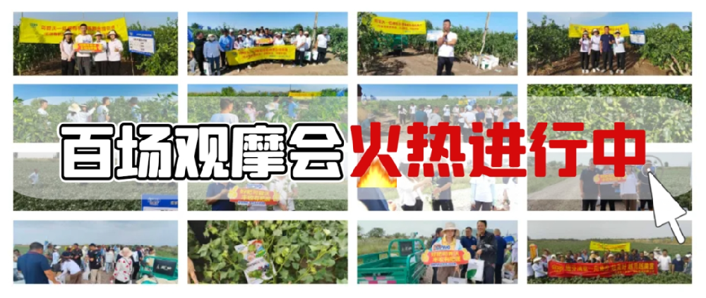司普沃盛啟百場(chǎng)觀摩會(huì)，**檢驗(yàn)產(chǎn)品熱潮正當(dāng)時(shí)