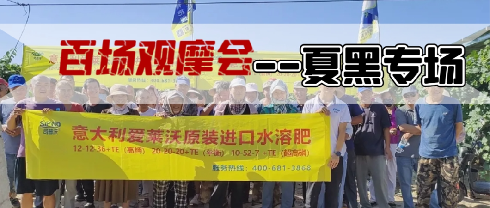新疆博樂(lè)地區(qū)夏黑葡萄觀摩會(huì)圓滿成功，司普沃功能肥閃耀全場(chǎng)