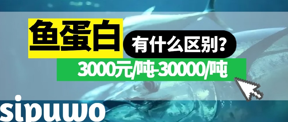 3000-30000元/噸的魚蛋白有多大差距？一篇文章告訴你！