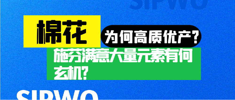 棉花憑啥高產(chǎn)優(yōu)質(zhì)？施芬滿意大量元素有何玄機(jī)？