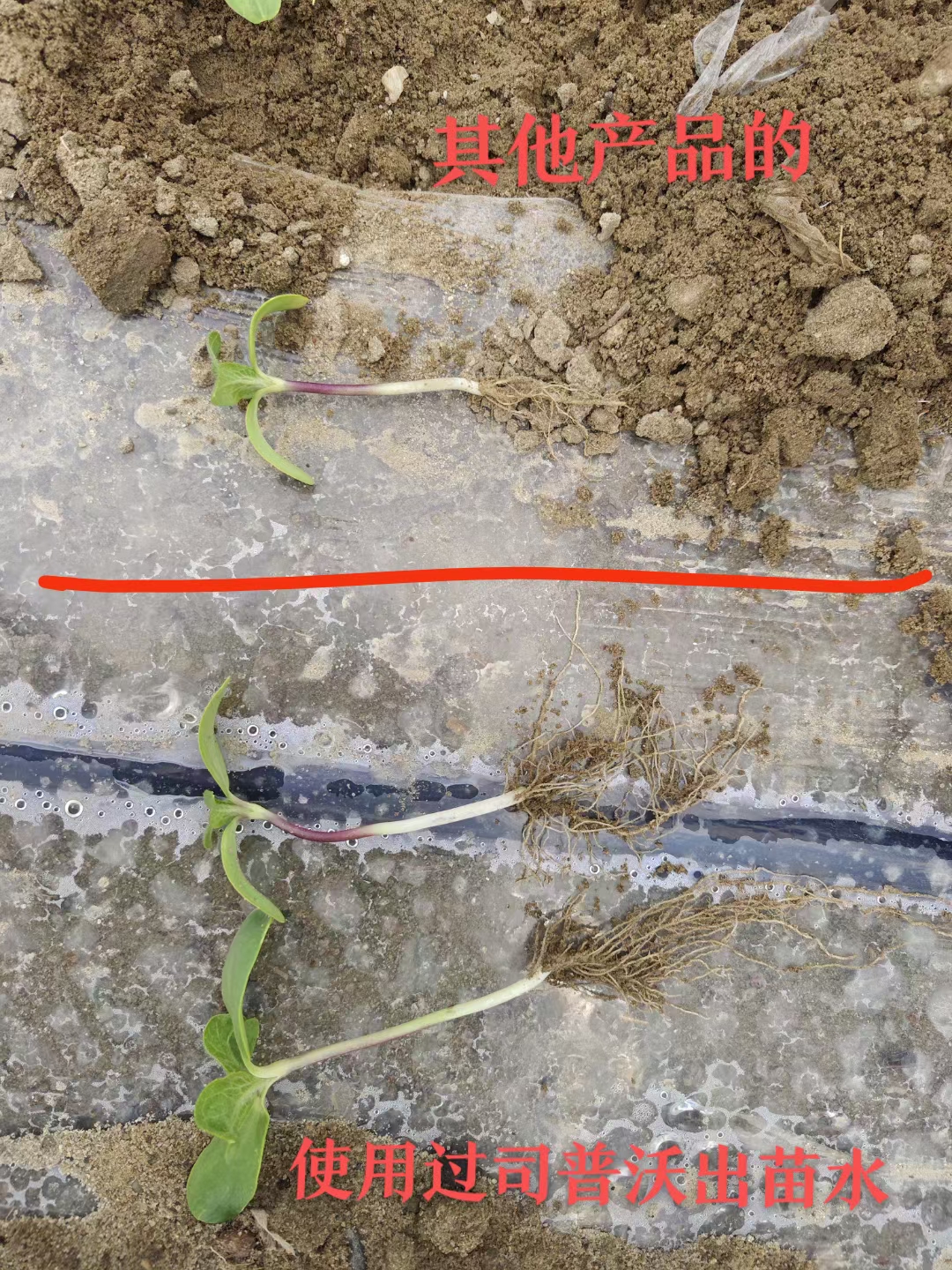 種地也有“秘密武器”？司普沃三活三抗套餐來揭秘！